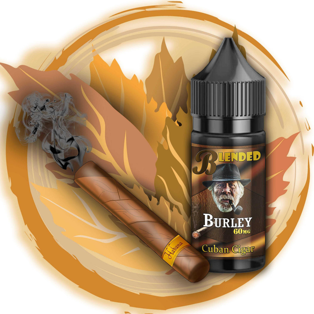 Burley Saltnic 30ml-FrenzyFog