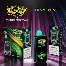 Chris Brown 15000 Puff 5% Disposable Vape-Miami Mint-FrenzyFog-Beirut-Lebanon
